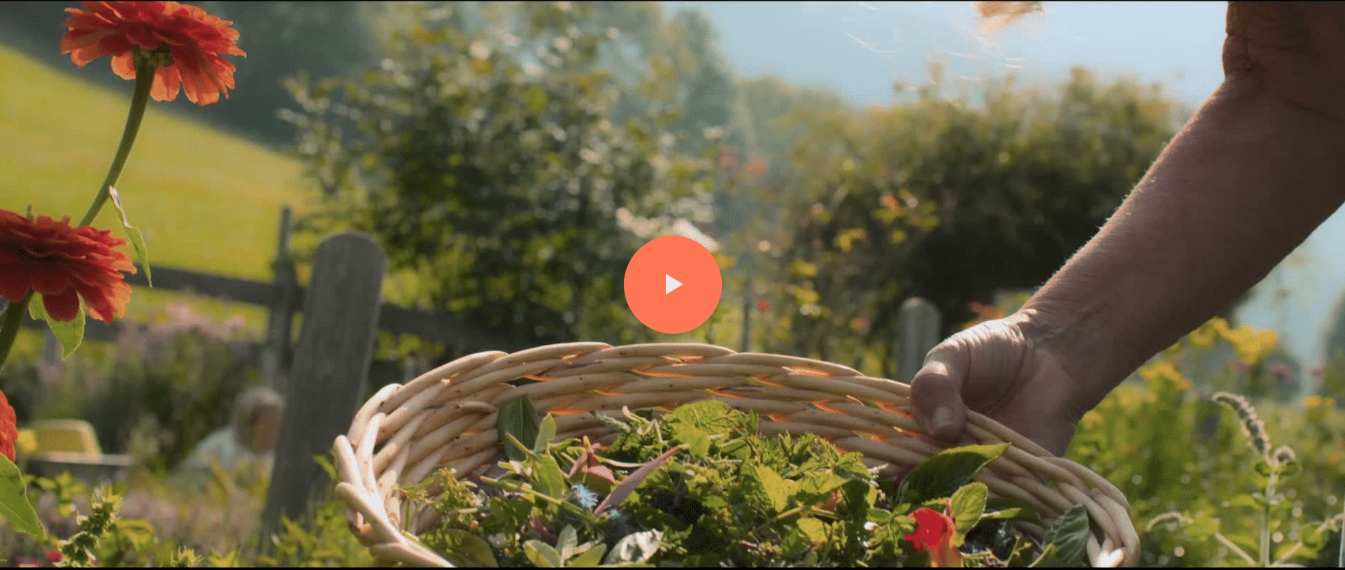 Video ansehen